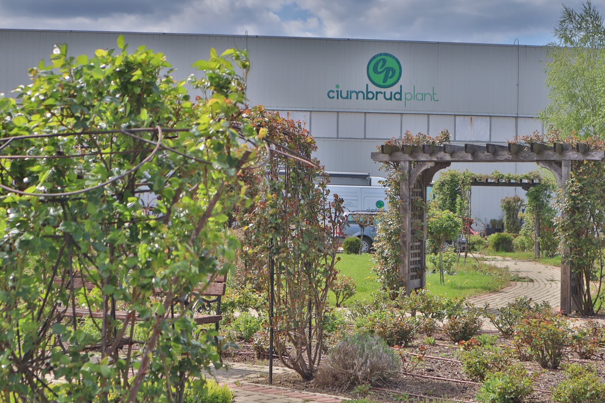 Imagine Reprezentativa CiumbrudPlant